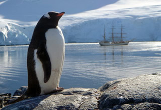 Antartico: 250 scienziati discutono sul futuro delle risorse marine