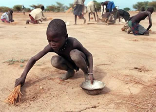 Rapporto FAO: in aumento la fame nel mondo